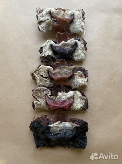 Носики говяжьи. Лакомство для любимых потомцев