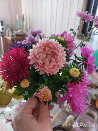 Клубни цветов