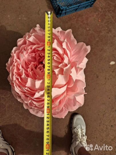 Цветы ростовые (без ножек)