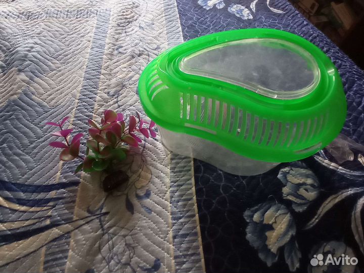 Аквариум для черепах