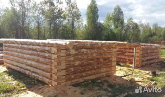 Рубим срубы под баню