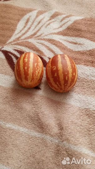 Дыни дедушки Хо Шемина