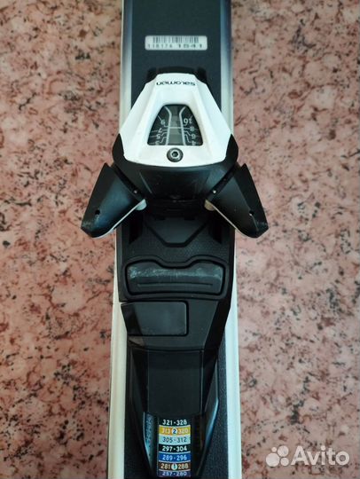 Горные лыжи