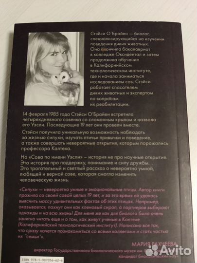 Сова по имени Уэсли Стэйси О'брайен