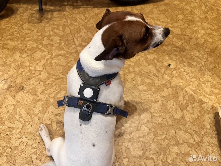 Крепление для трекера Apple AirTag на ошейник