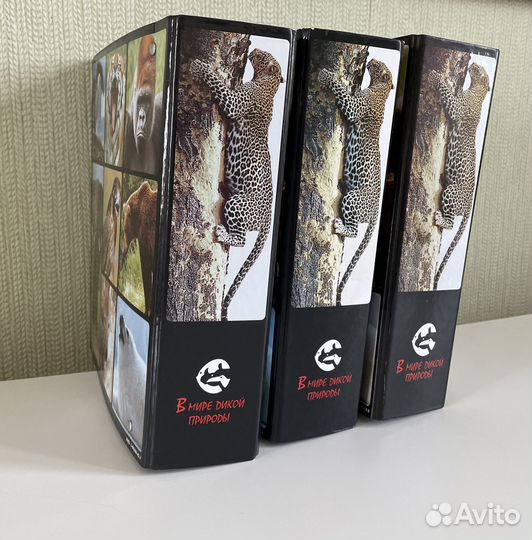 Энциклопедия. В мире дикой природы