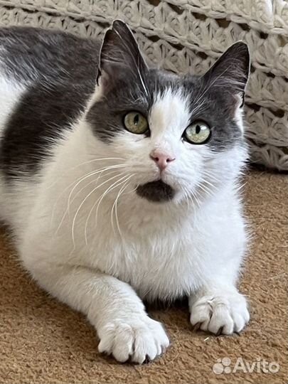 Марфушечка-душечка в поисках семьи