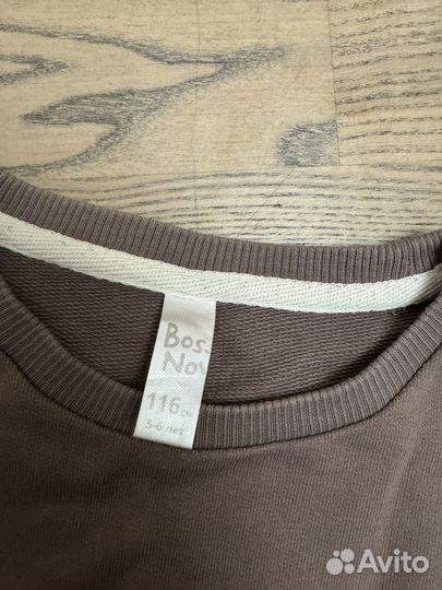 Лонгслив, свитшот bosa nova 116 для мальчика