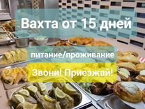 Вахта 15,20,30 без опыта Упаковщик Питание+ Жилье