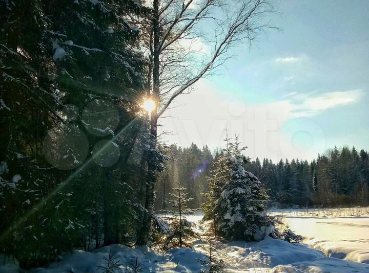 Участок 20 сот. (СНТ, ДНП)