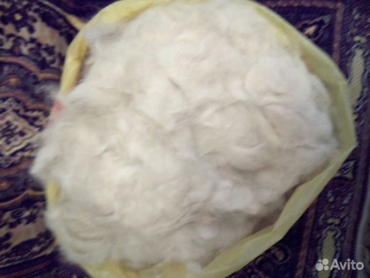 Шерсть собачья (пух)