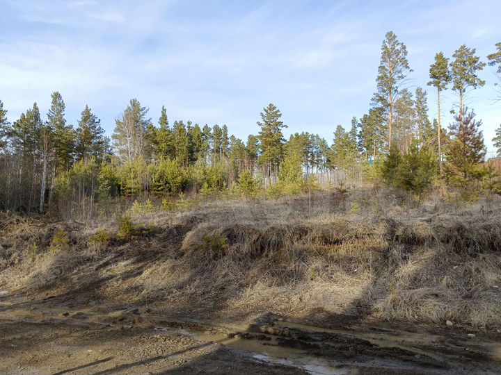 Участок 14 сот. (ИЖС)