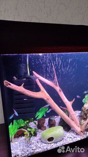 Аквариум 70л