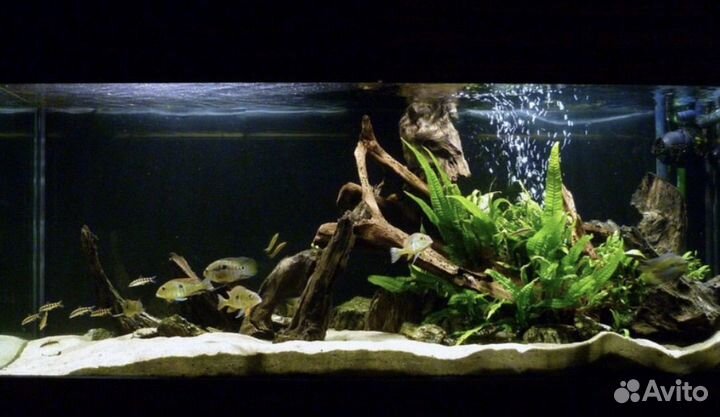 Обслуживание и Изготовление аквариума