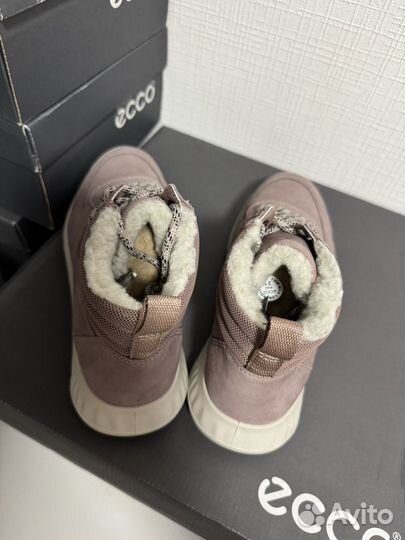 36 новые зимние ecco