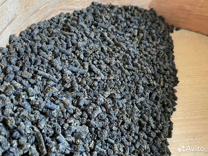 Иван-чай крупнолистовой из Сибири от производителя