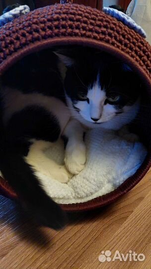 Домик/лежанка для кошек/котов