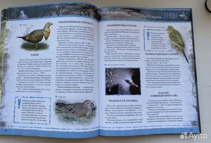 Энциклопедия «Животных»