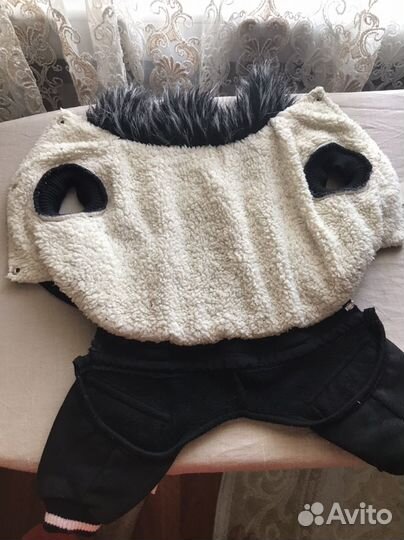 Одежда для маленьких собак