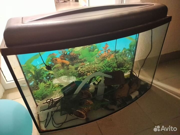 Аквариум