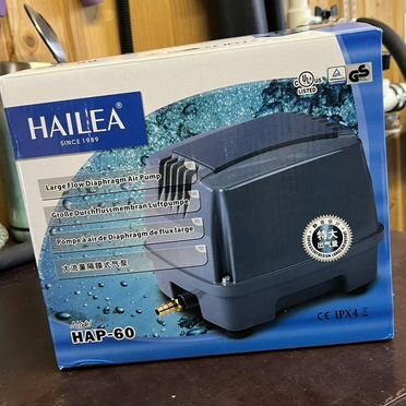 Hailea hap 60