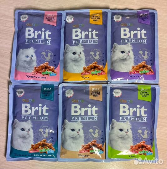 Brit Premium для кошек в желе