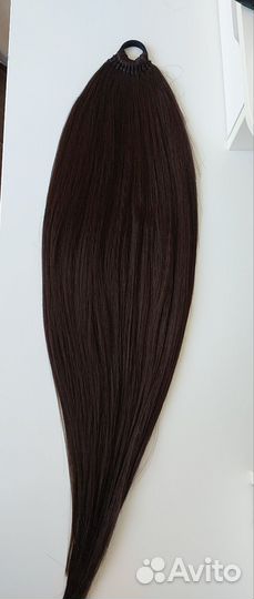 Афрохвост новый