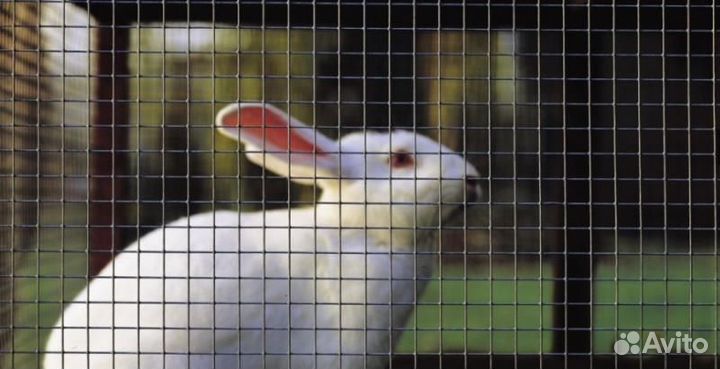 Оцинкованная сетка для клеток и вольеров