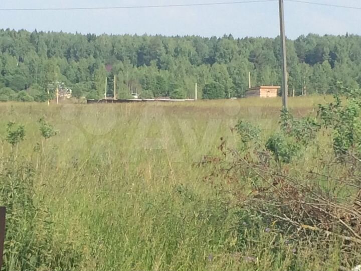 Участок 25 сот. (СНТ, ДНП)