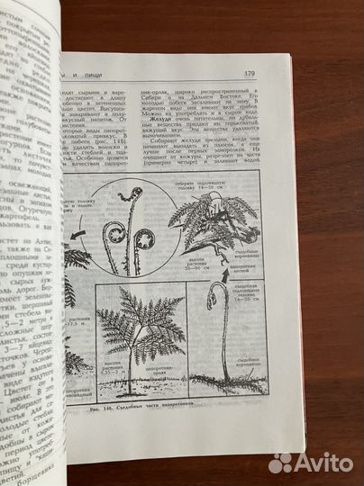 Выживание: пособия, энциклопедии