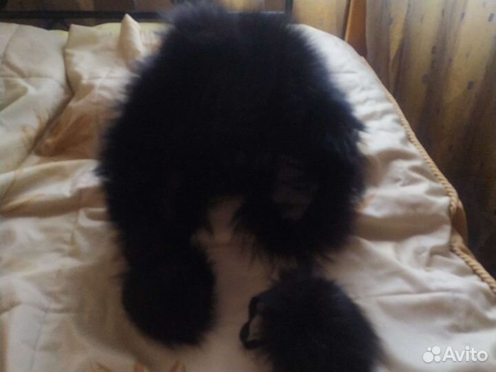 Шапка новая песец