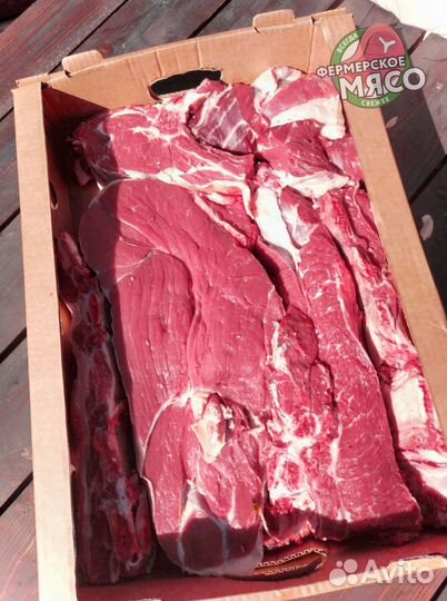 Мясо говядина