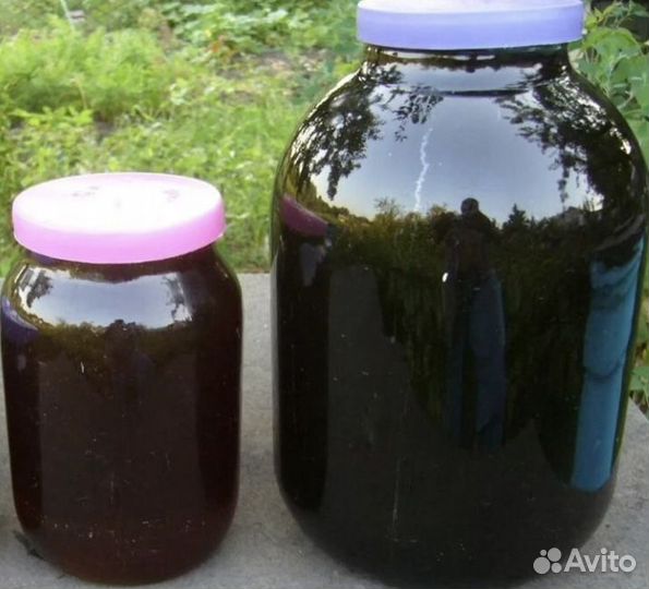 Мёд липовый, цветочный, акация, Гречишный