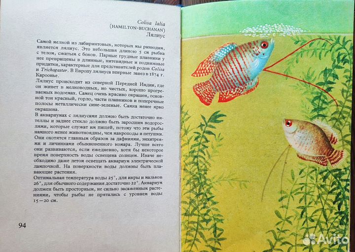 Книга аквариумные рыбы