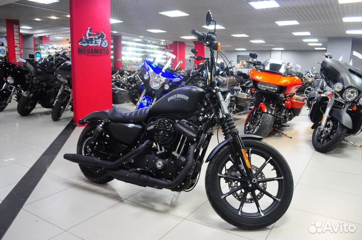 Harley-davidson Sportster 883, 2021 год