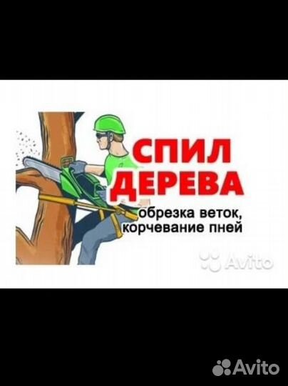 Спил деревьев, покос травы,в день обращения