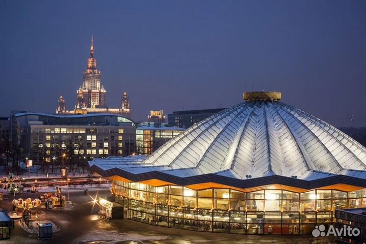 Билеты в цирк на Вернадского 