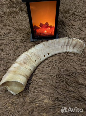 Буккехорны (Bukkehorn ) из рога козла