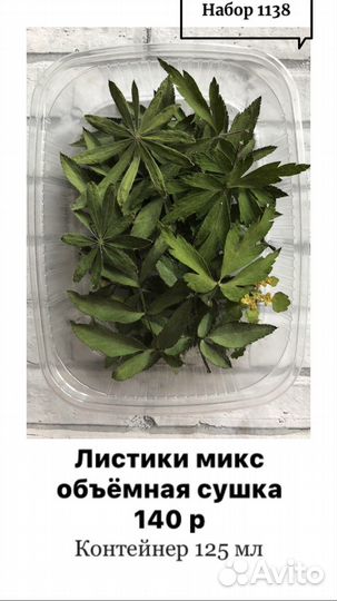 Папоротник