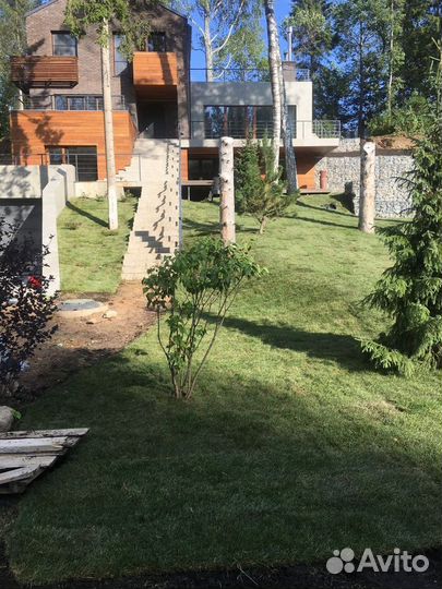 Укладка и продажа газона эконом