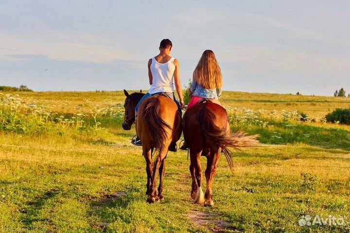 Конная прогулка