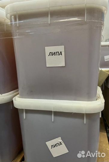 Свежий мед липовый опт