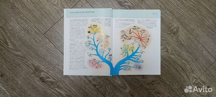 Книга-энциклопедия 