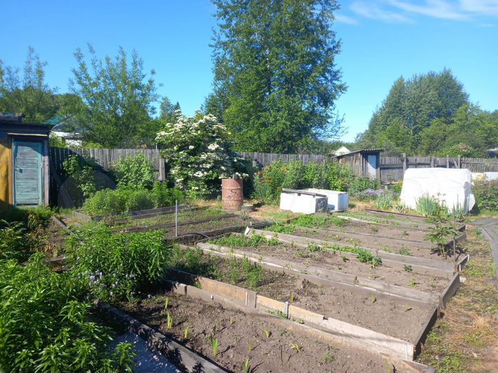 Дом 30 м² на участке 20 сот.