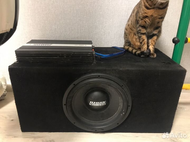 Сабвуфер edge 12 и sundown 12
