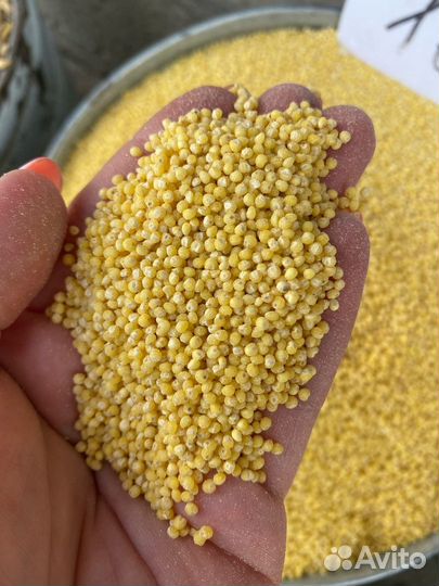 Пшено высший сорт