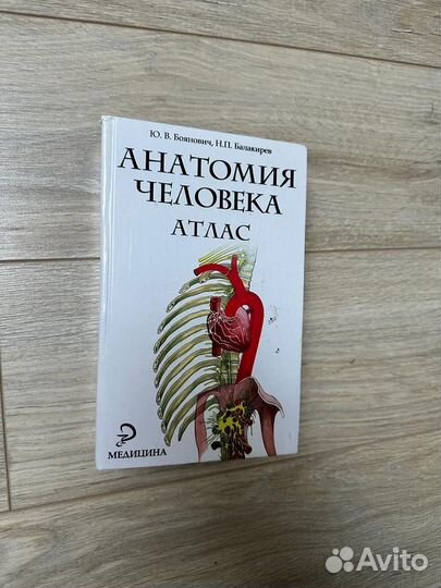 Атлас анатомии человека