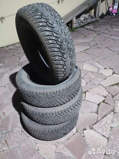 Nokian Tyres Hakkapeliitta 8 195/65 R15