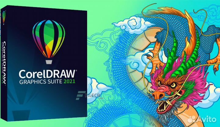 Coreldraw Graphics Suite 2022 безлимитная лицензия