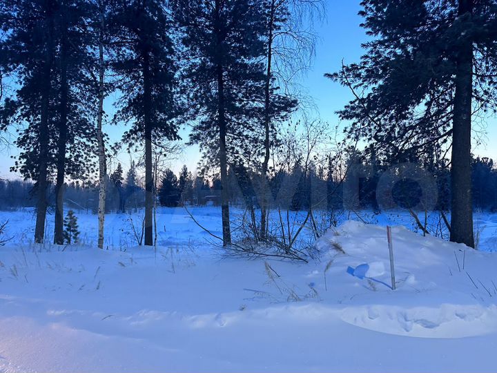 Участок 10 сот. (СНТ, ДНП)